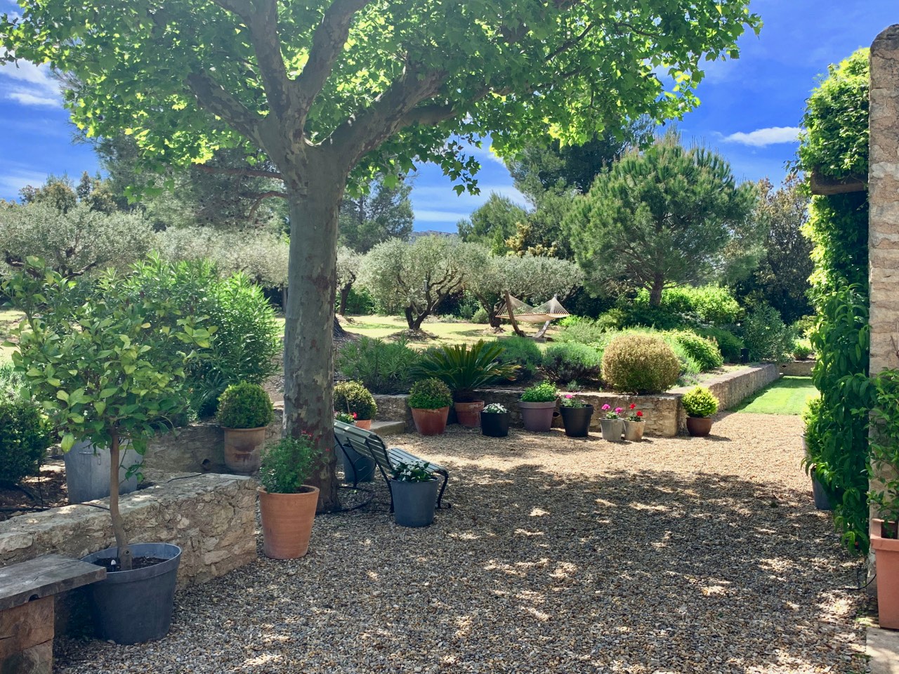 A peaceful garden with a gravel path flanked by lush potted plants and trees, leading to a sculpture centerpiece under a blue sky with scattered clouds.